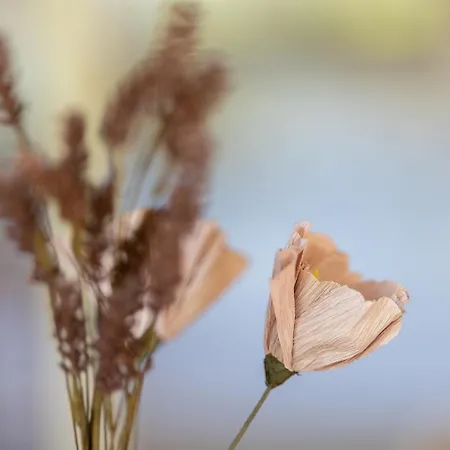 Kniepsand 2 Holiday home