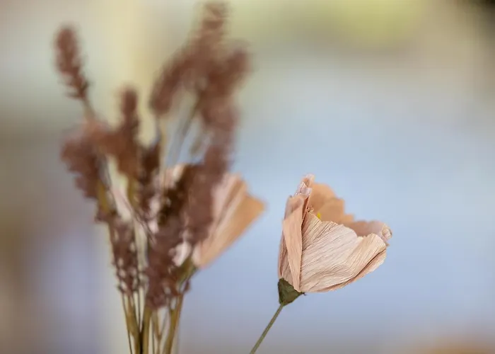 Kniepsand 2 Nyaraló